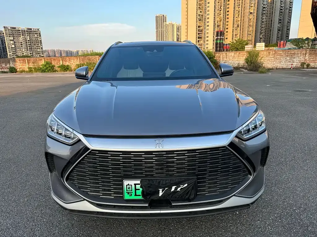 BYD PLUS New Energy 2023 из CN, фото 2