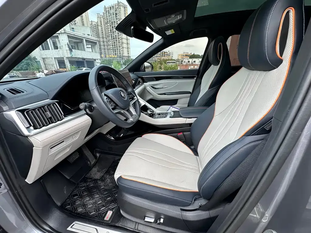 BYD PLUS New Energy 2023 из CN, фото 6