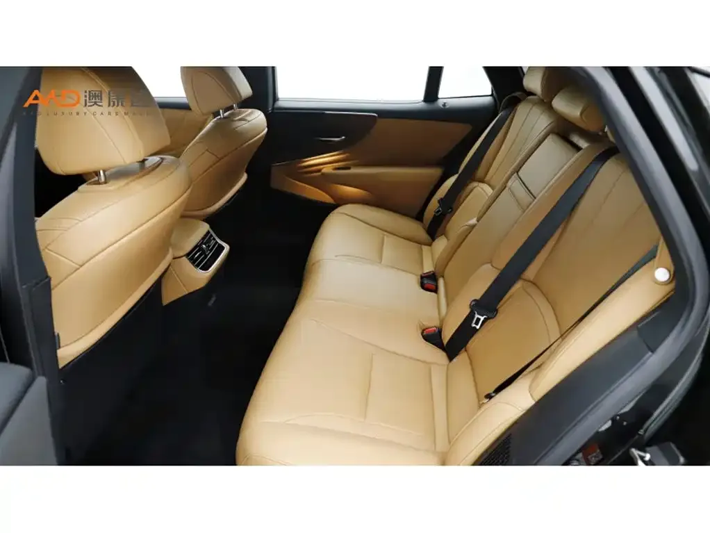 Lexus LS 2022 из CN, фото 7