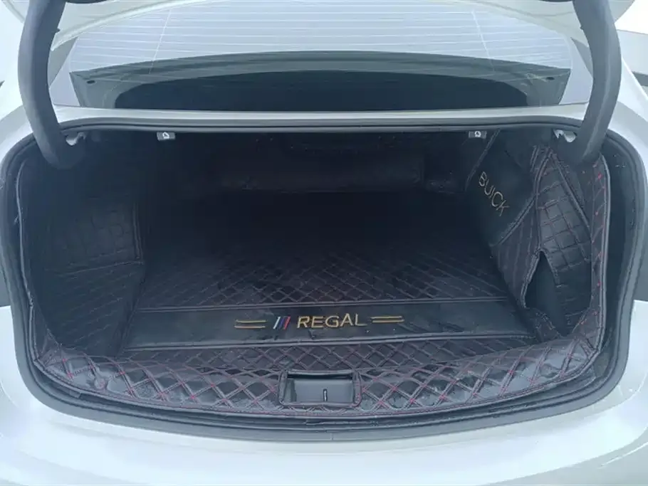 Buick Regal 2023 из CN, фото 4