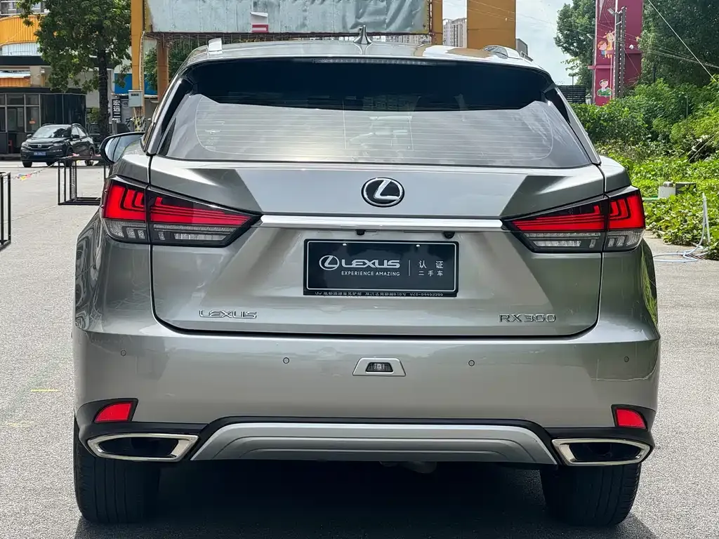 Lexus RX 2022 из CN, фото 8