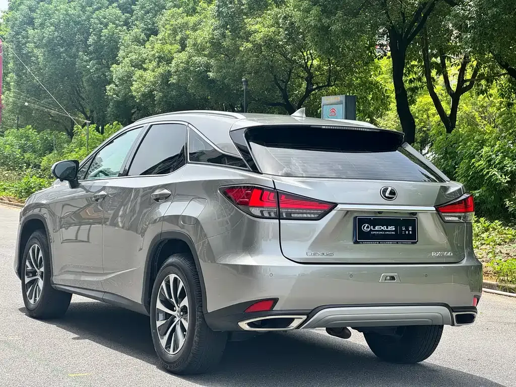 Lexus RX 2022 из CN, фото 9