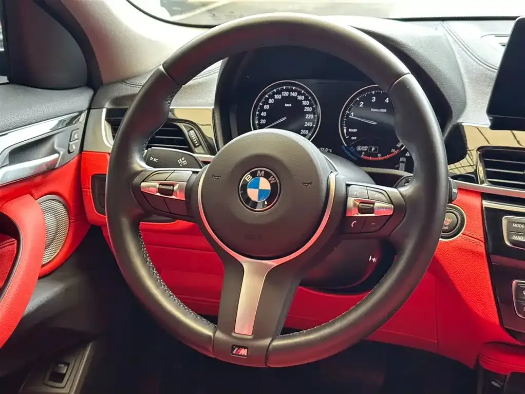 BMW X2 2022 из CN, фото 10