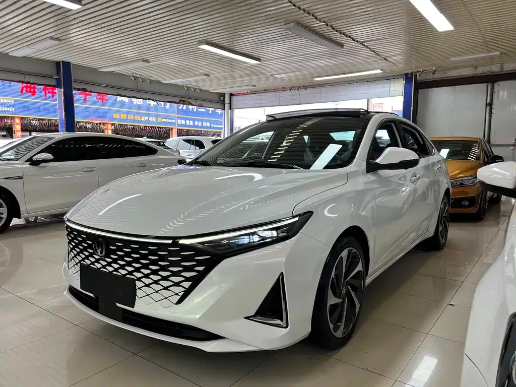 Changan Ruicheng PLUS 2023 из CN, фото 1