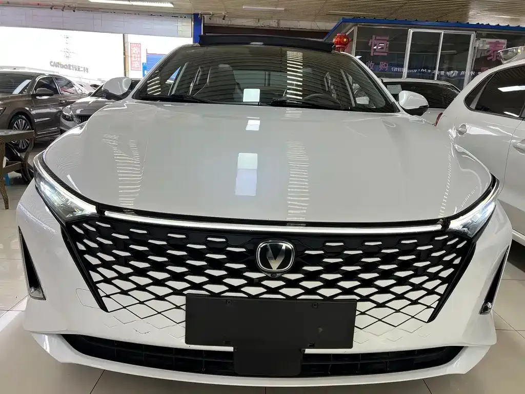 Changan Ruicheng PLUS 2023 из CN, фото 2