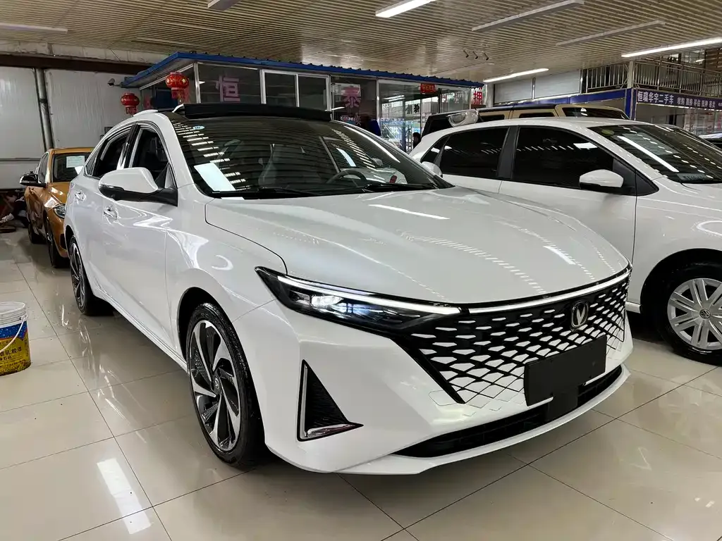 Changan Ruicheng PLUS 2023 из CN, фото 3