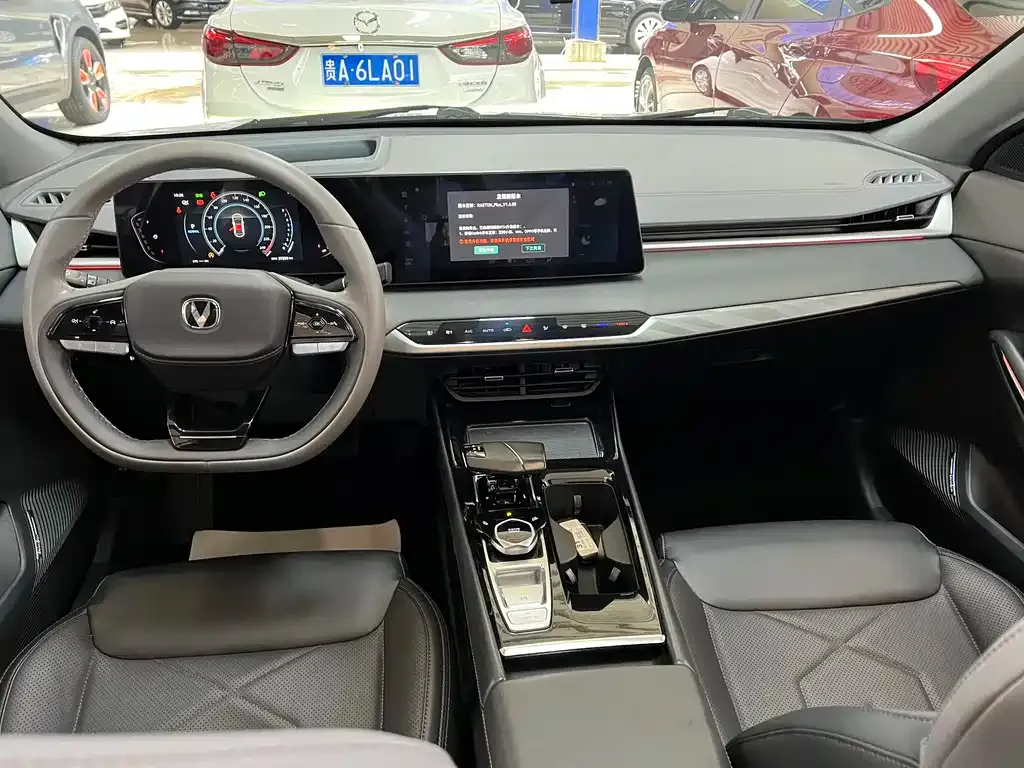 Changan Ruicheng PLUS 2023 из CN, фото 8