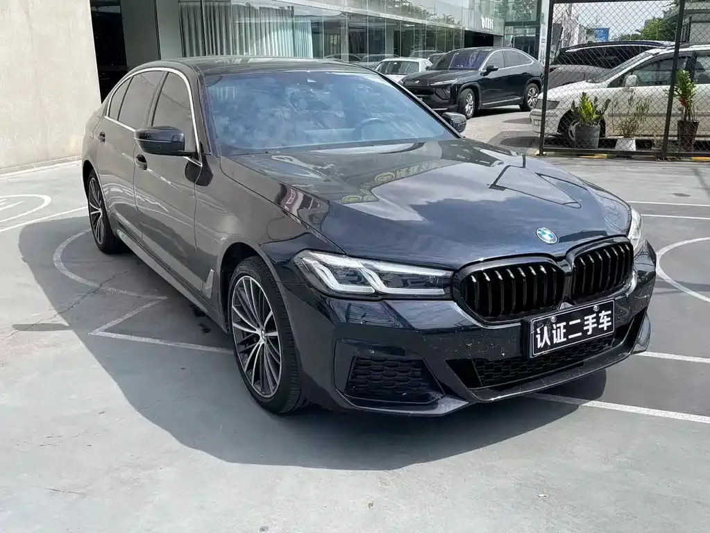 BMW 5 Series 2024 из CN, фото 3