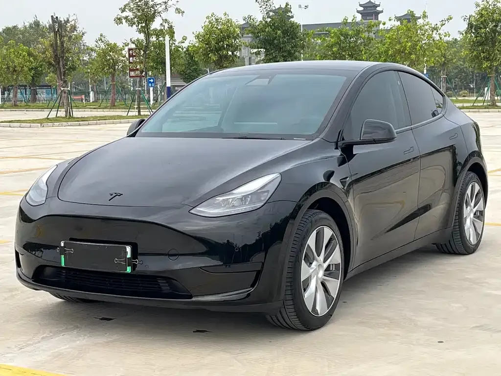 Tesla Model Y 2022 из CN, фото 1