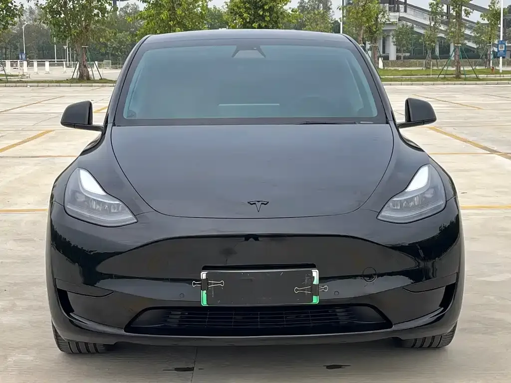 Tesla Model Y 2022 из CN, фото 2