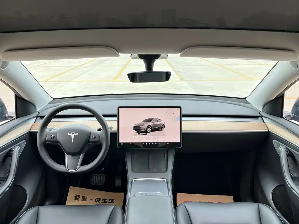 Tesla Model Y 2022 из CN, фото 5