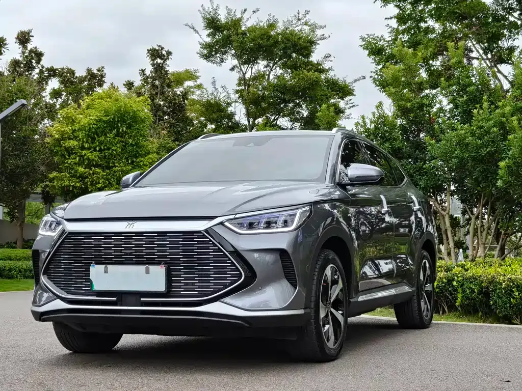 BYD PLUS New Energy 2023 из CN, фото 1