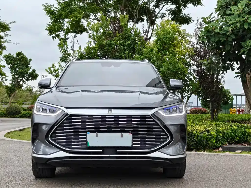 BYD PLUS New Energy 2023 из CN, фото 2