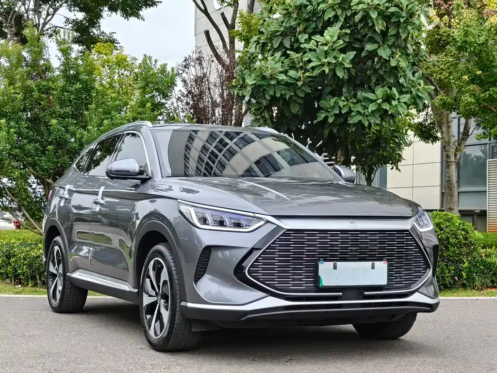 BYD PLUS New Energy 2023 из CN, фото 3
