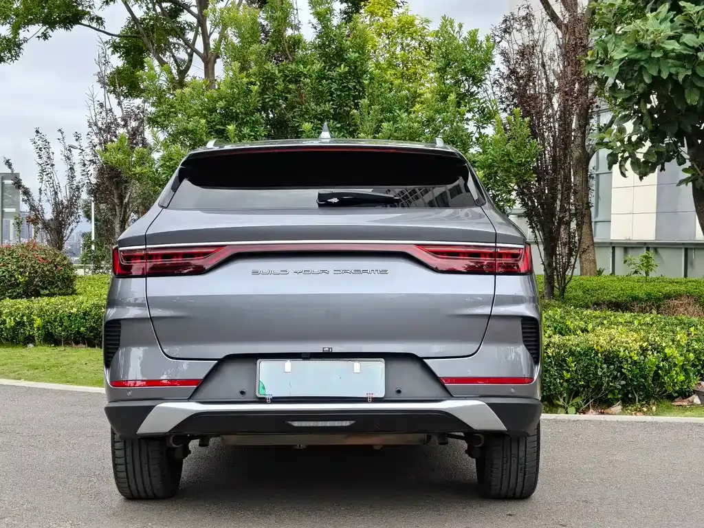 BYD PLUS New Energy 2023 из CN, фото 8