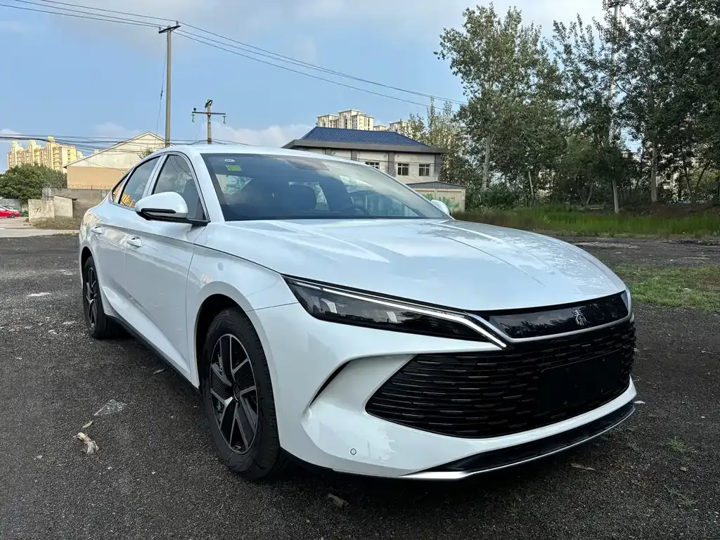 BYD Qin L 2025 из CN, фото 3