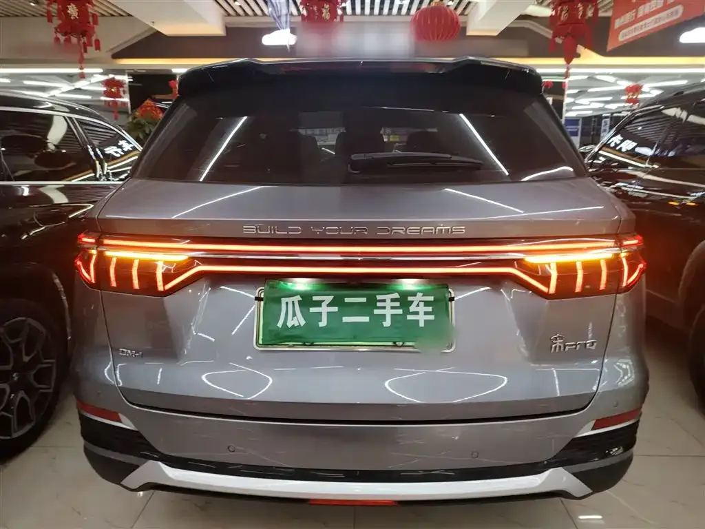 BYD Pro New Energy 2023 из CN, фото 6