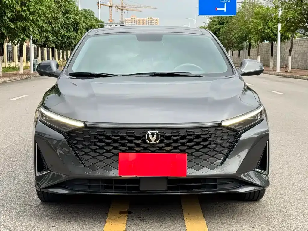 Changan Ruicheng PLUS 2023 из CN, фото 2