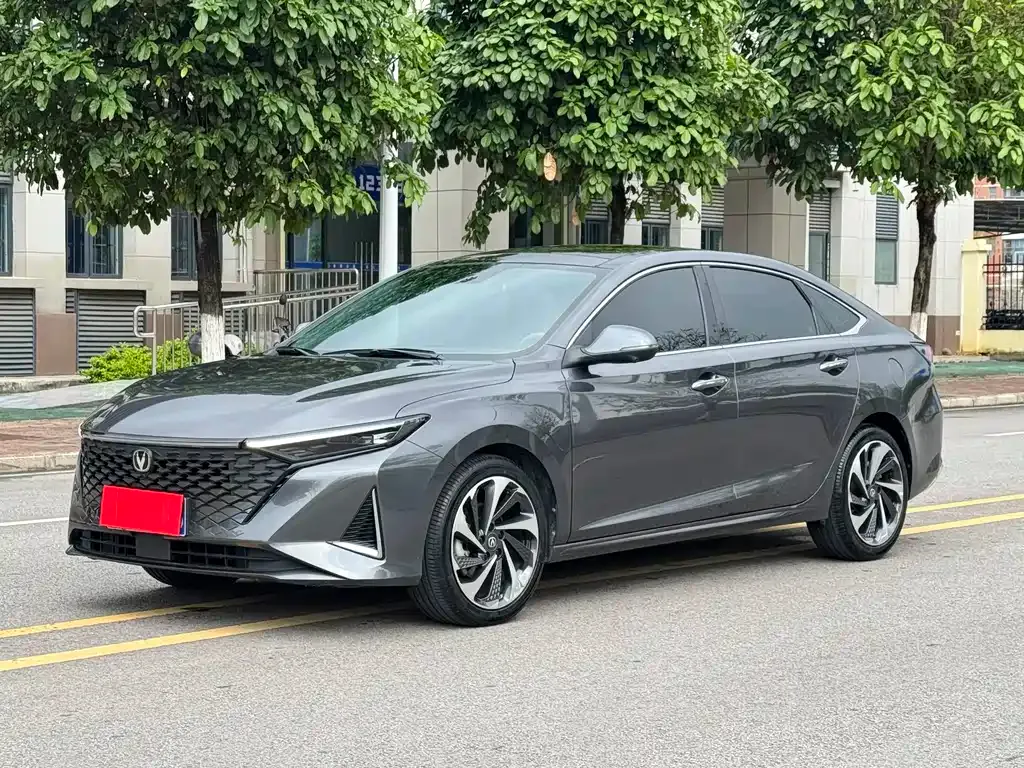 Changan Ruicheng PLUS 2023 из CN, фото 3