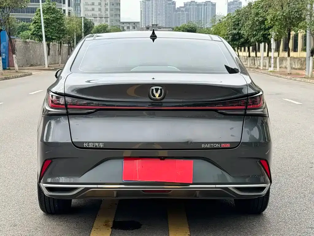 Changan Ruicheng PLUS 2023 из CN, фото 5