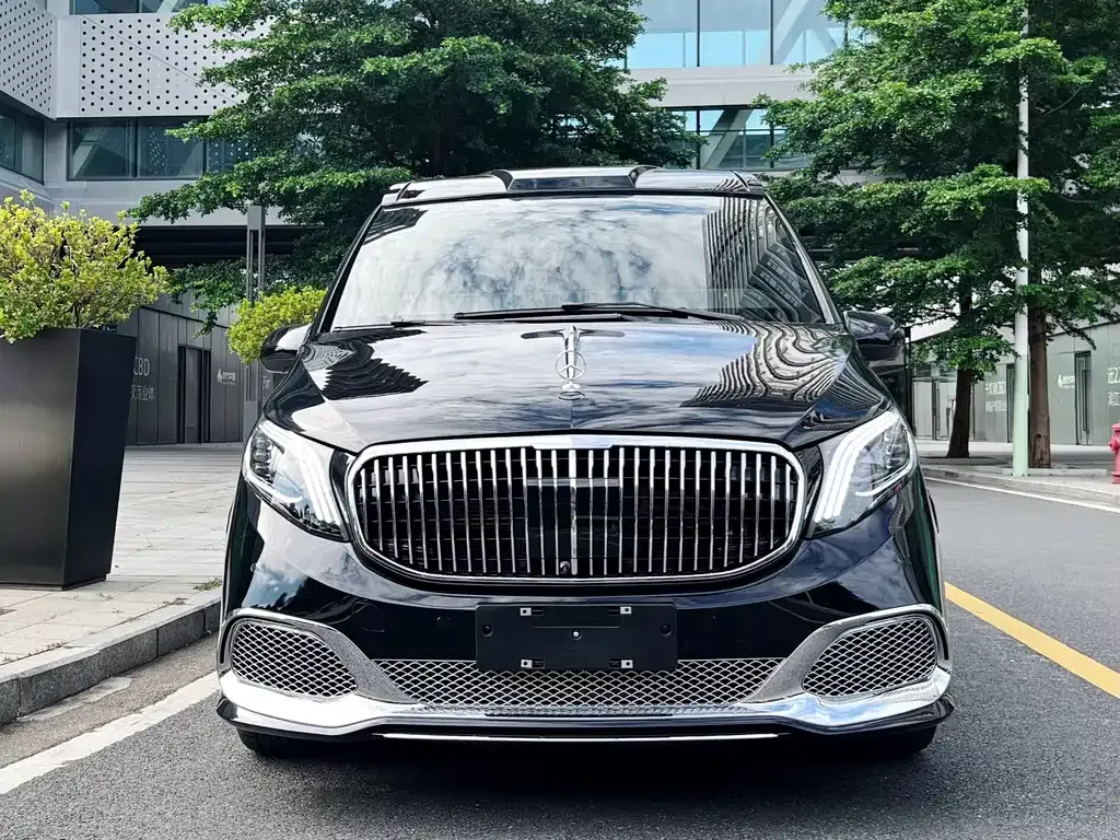 Mercedes-Benz Vito 2021 из CN, фото 3