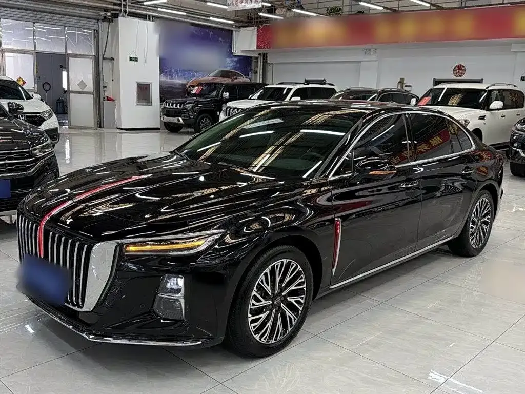 Hongqi H5 2024 из CN, фото 2