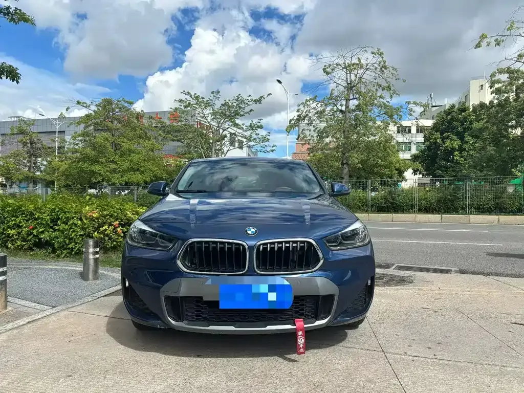 BMW X2 2022 из CN, фото 2