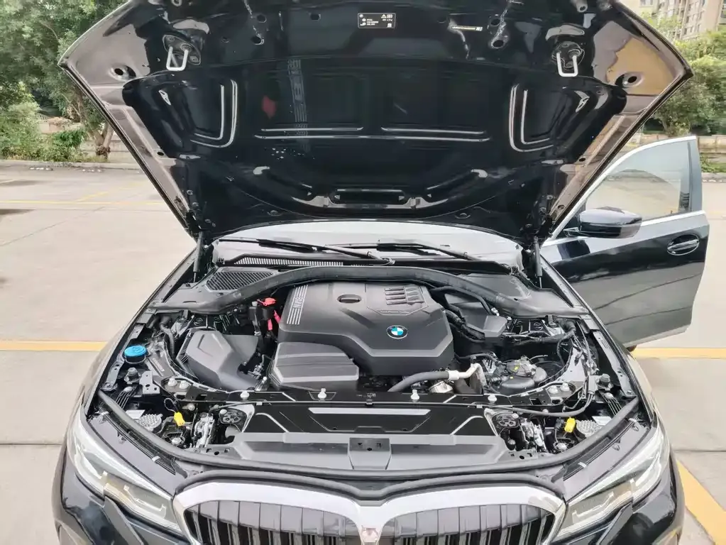 BMW 3 Series 2021 из CN, фото 9