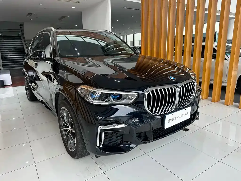 BMW X5 — фото 3