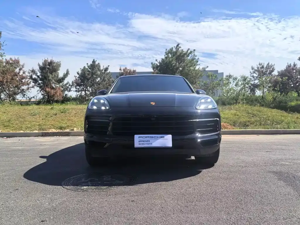 Porsche Cayenne 2022 из CN, фото 6