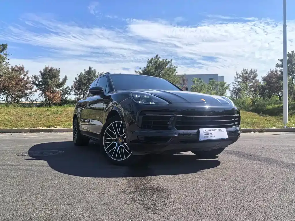 Porsche Cayenne 2022 из CN, фото 8