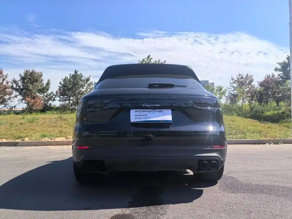 Porsche Cayenne 2022 из CN, фото 9