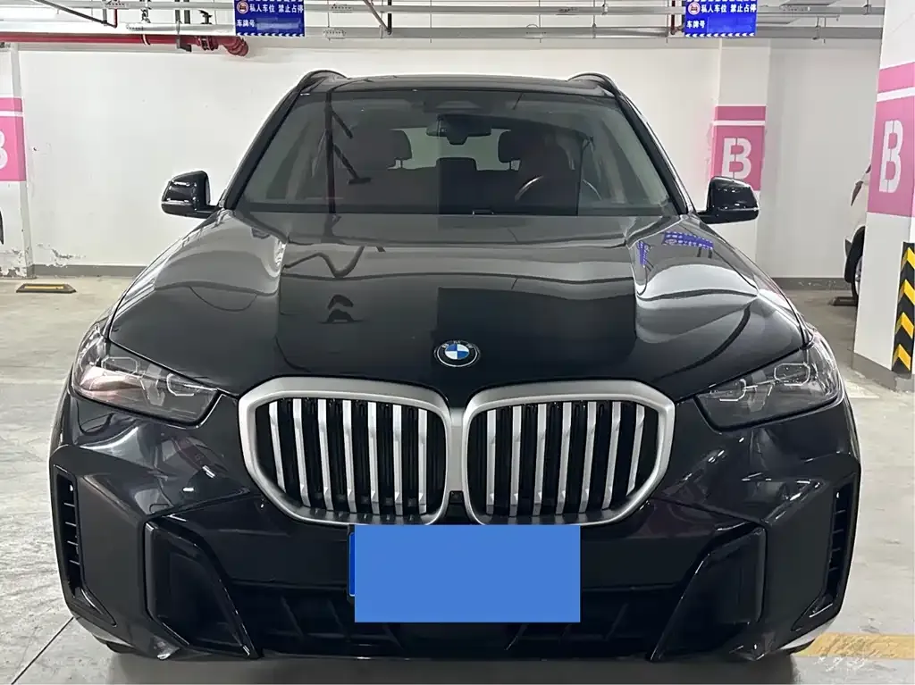 BMW X5 2024 из CN, фото 2