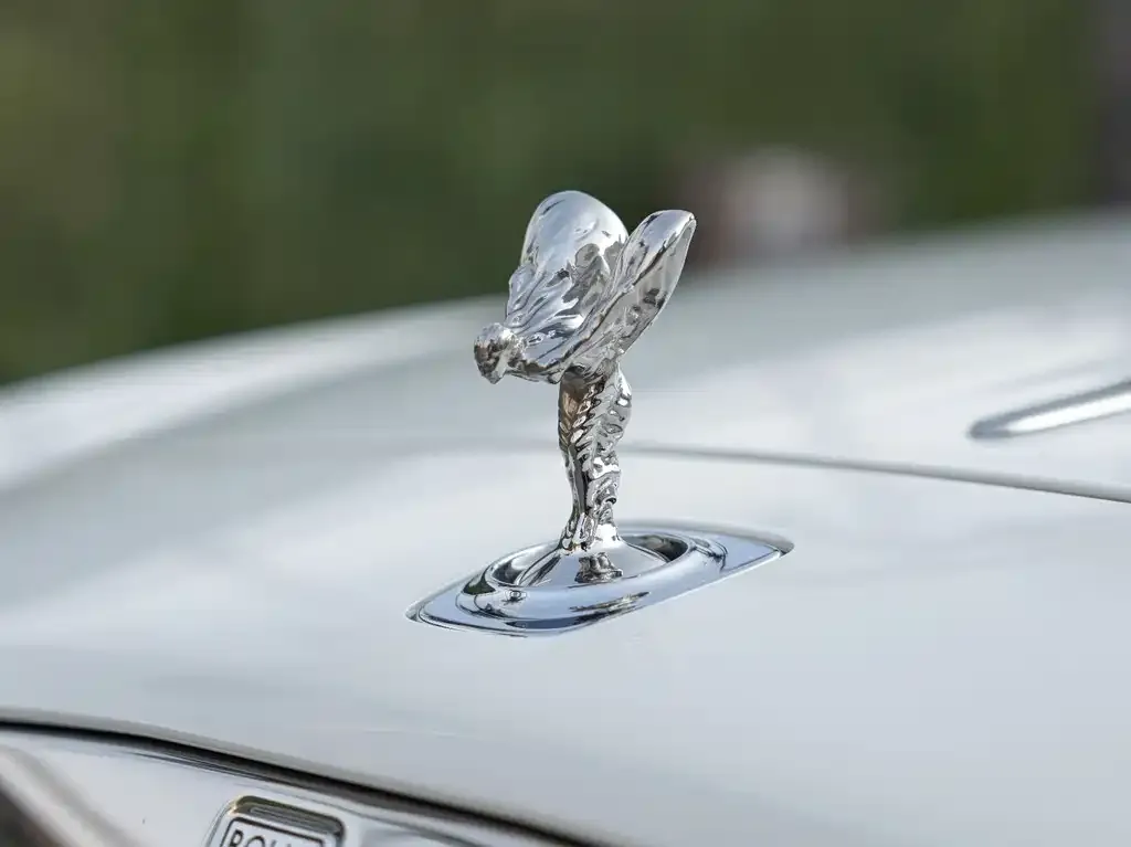 Rolls-Royce Dawn 2021 из CN, фото 9