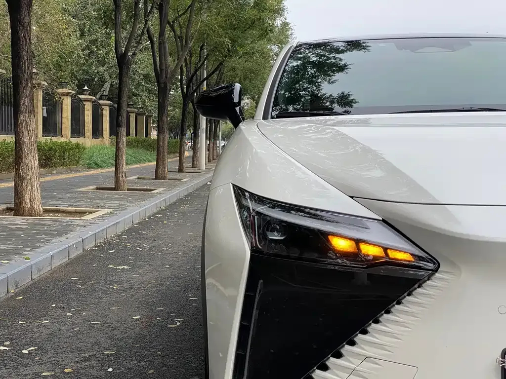 Lexus RZ 2024 из CN, фото 9
