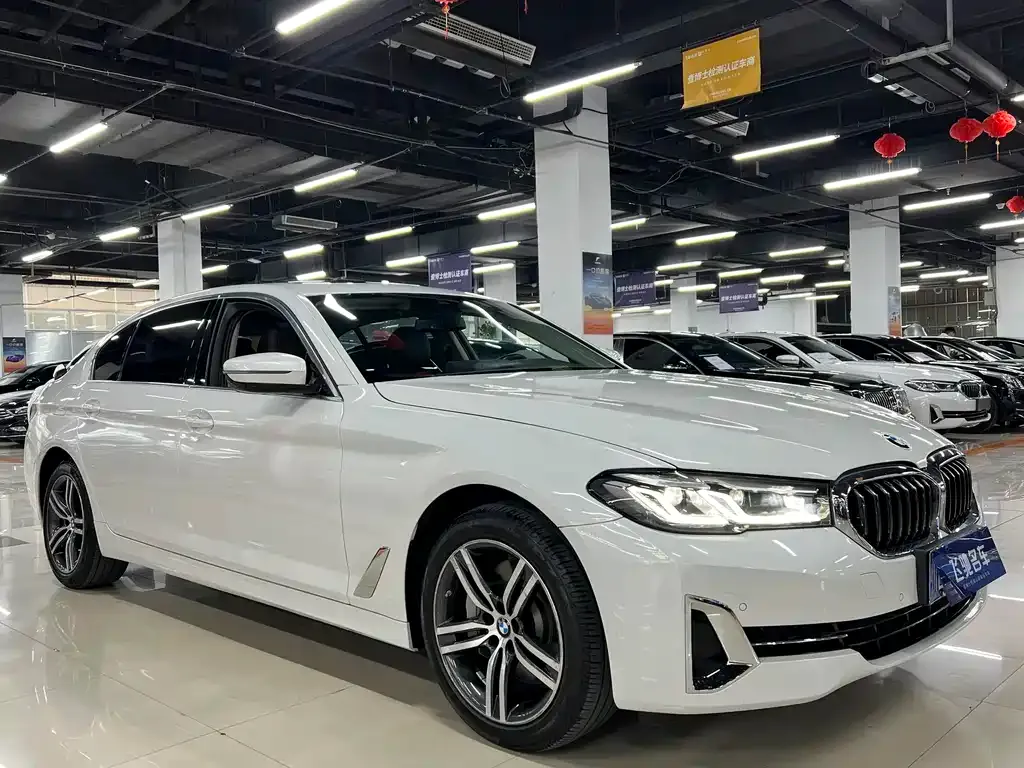 BMW 5 Series 2022 из CN, фото 3