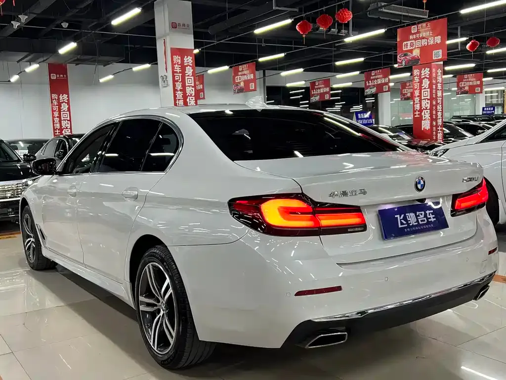 BMW 5 Series 2022 из CN, фото 7