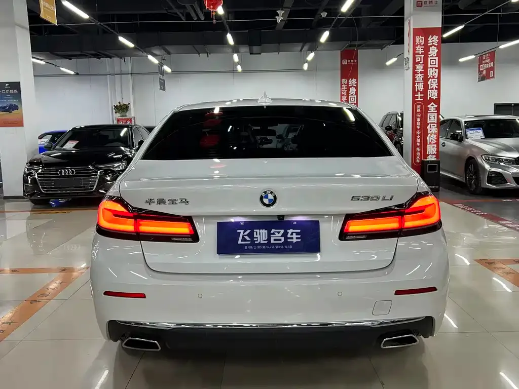 BMW 5 Series 2022 из CN, фото 8