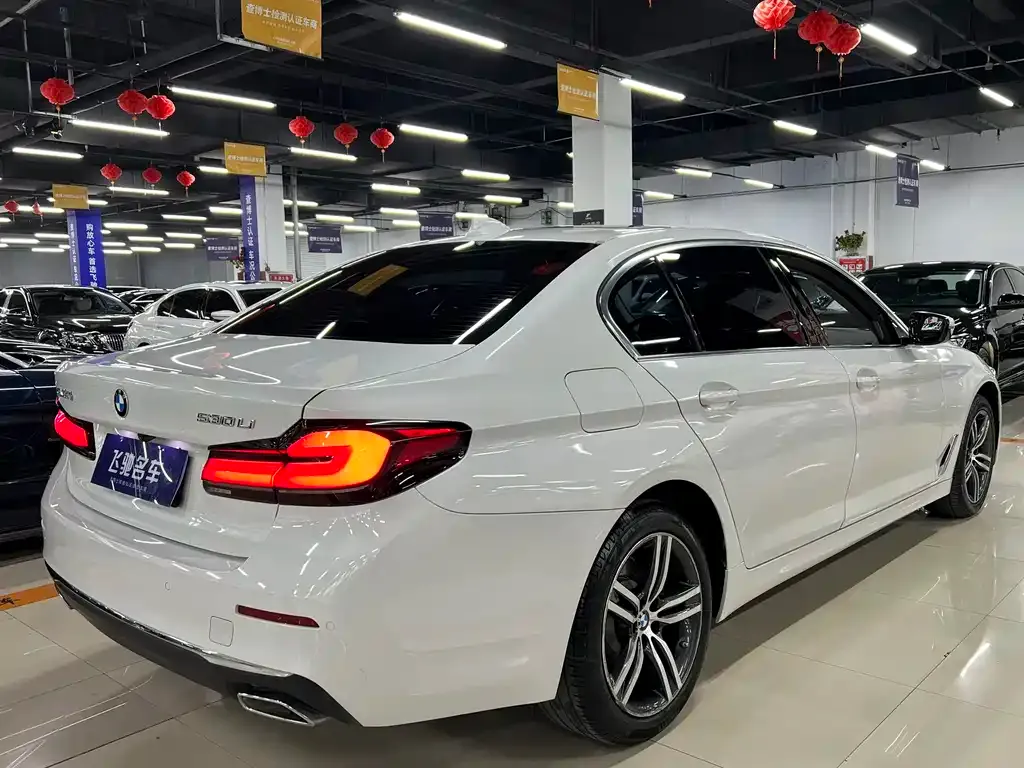 BMW 5 Series 2022 из CN, фото 9