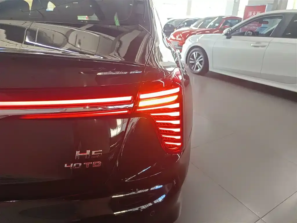 Hongqi H5 2023 из CN, фото 8