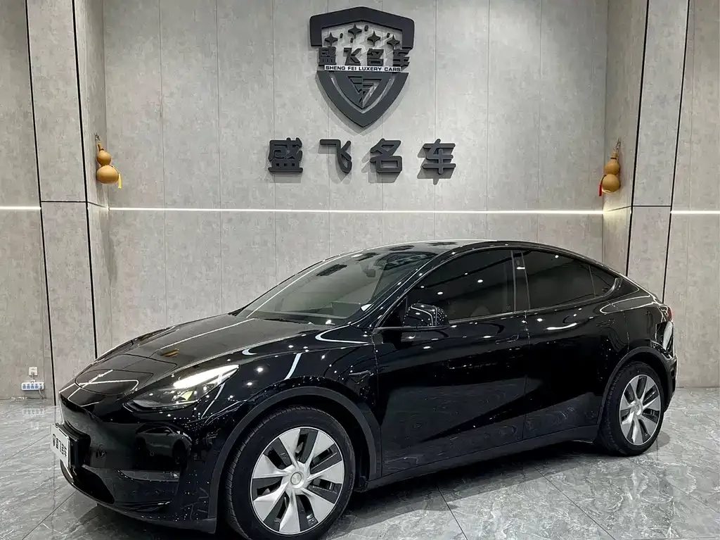 Tesla Model Y — фото 1