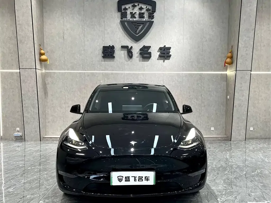 Tesla Model Y — фото 2