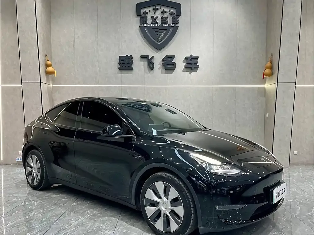Tesla Model Y — фото 3