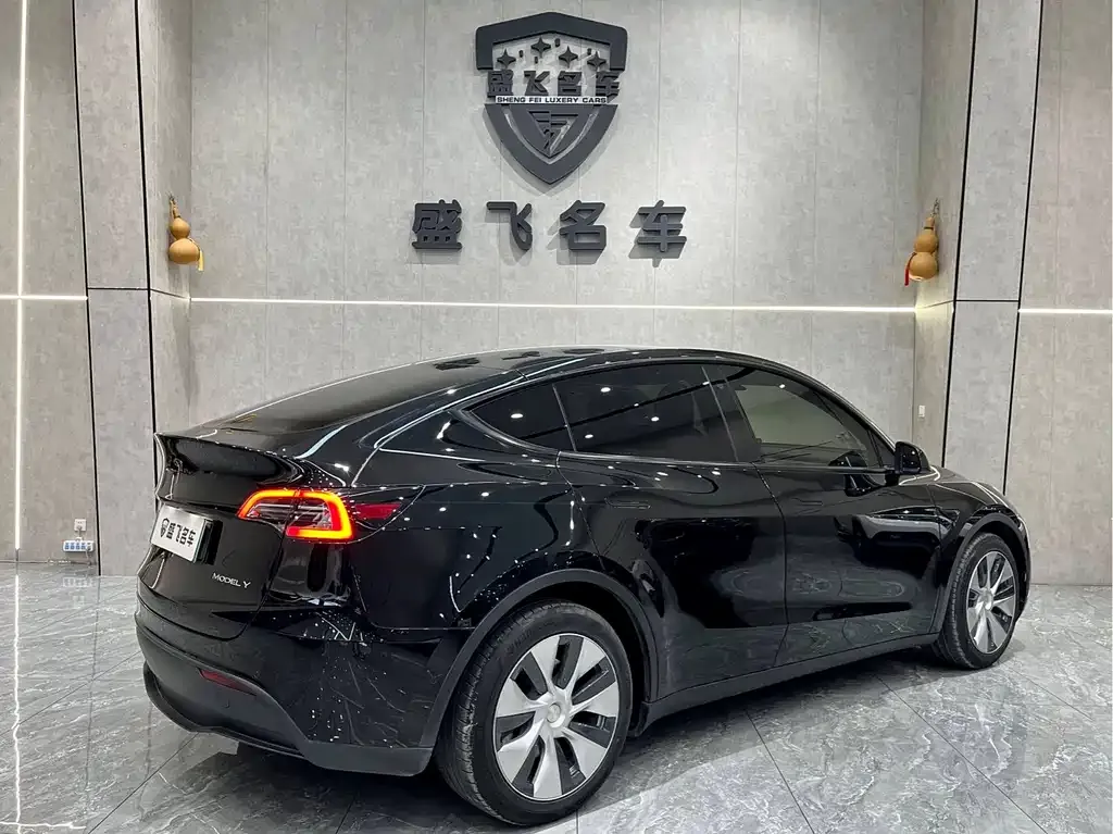 Tesla Model Y — фото 6