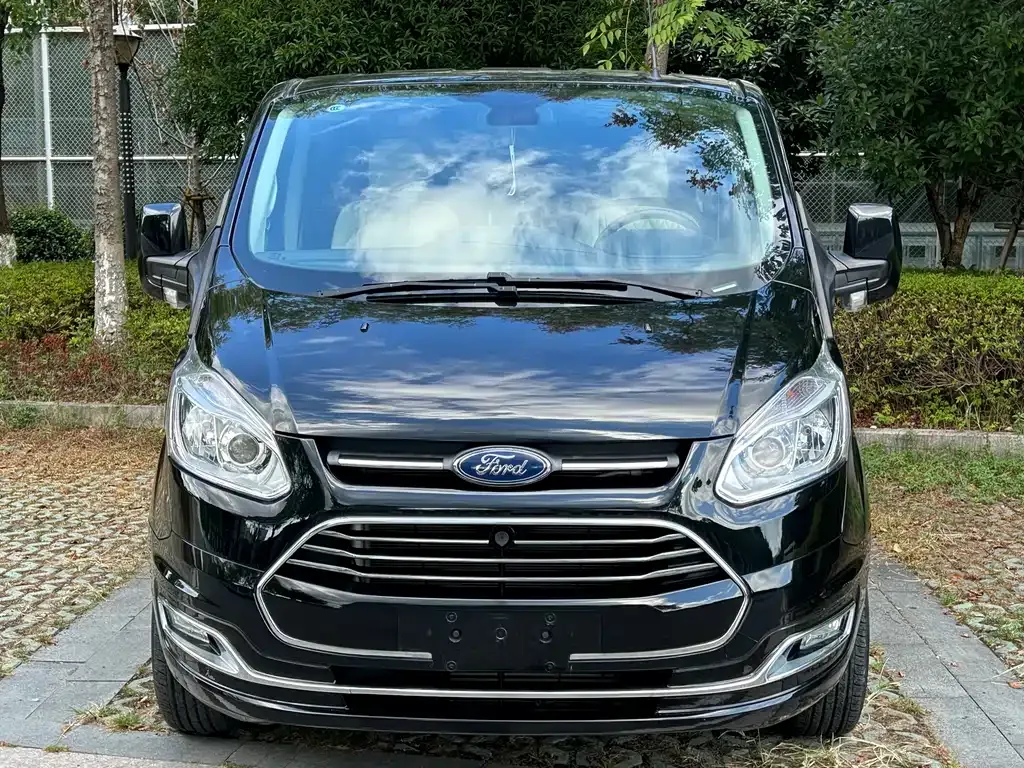 Ford Tourneo 2021 из CN, фото 2