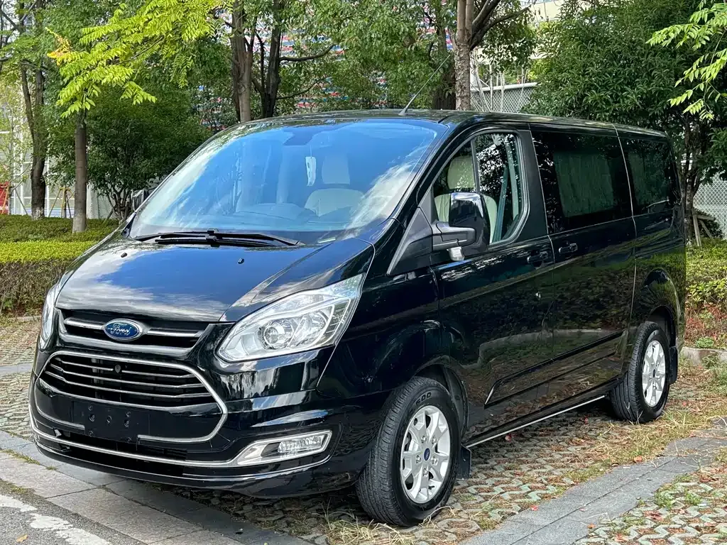 Ford Tourneo 2021 из CN, фото 3