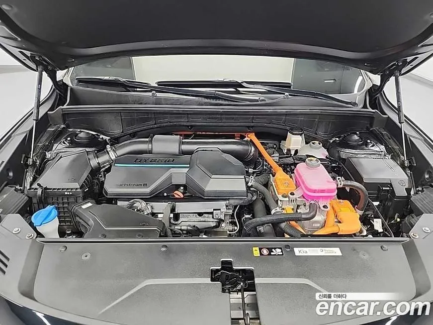 Kia Sorento 2023 из KR, фото 5