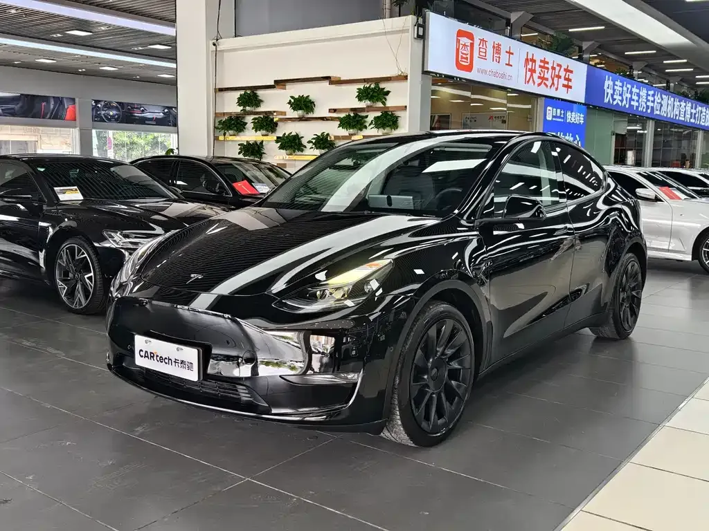 Tesla Model Y 2021 из CN, фото 1