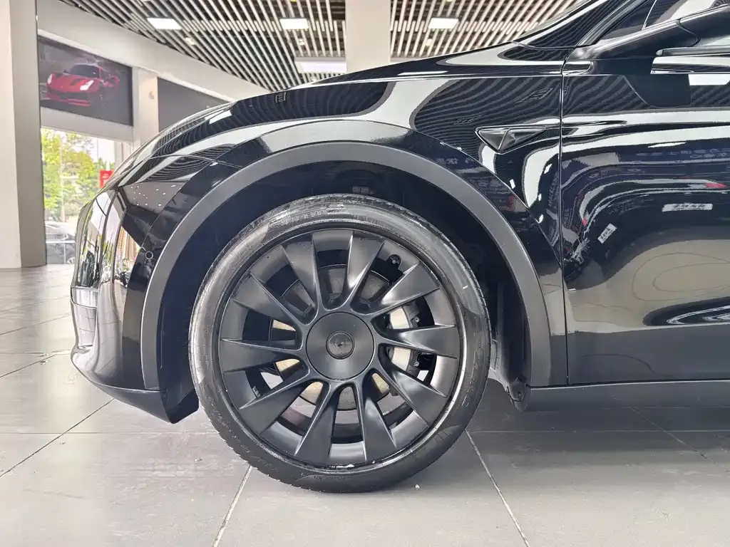 Tesla Model Y 2021 из CN, фото 10
