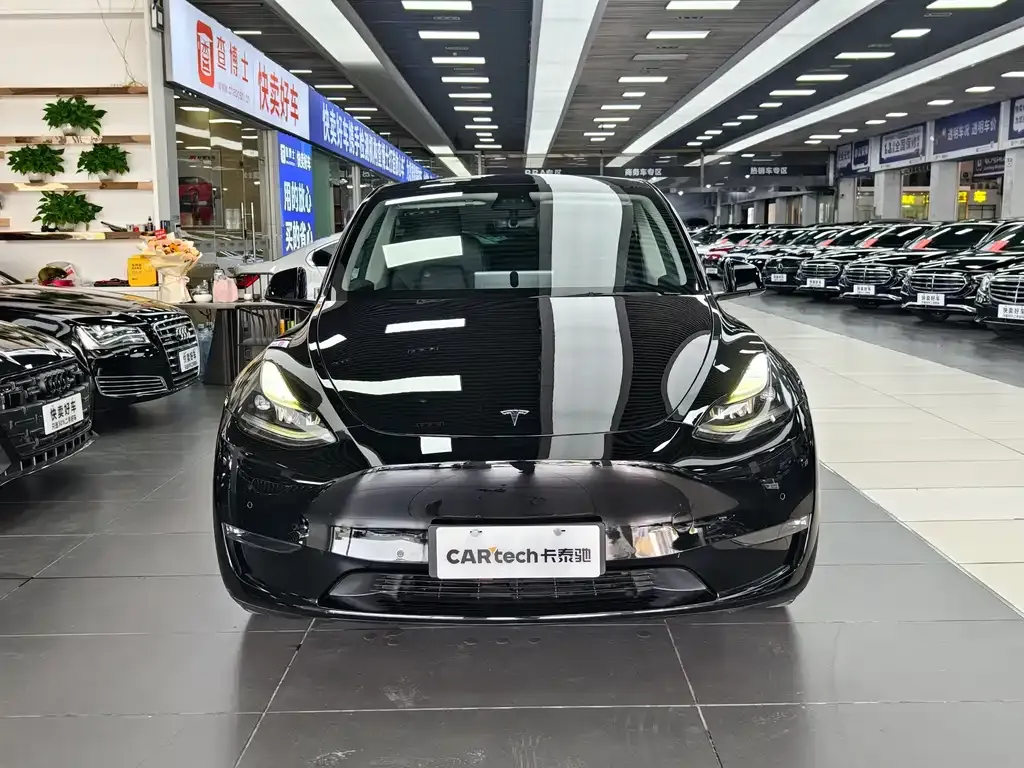 Tesla Model Y 2021 из CN, фото 2